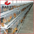 Hähnchen Farm Broiler Rate verwendet für Baby Chick Cage